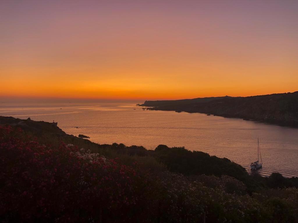 B&B Jolie Santa Teresa Gallura Zewnętrze zdjęcie